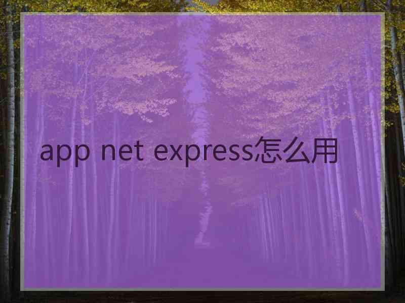 app net express怎么用