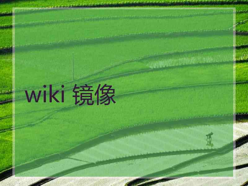 wiki 镜像