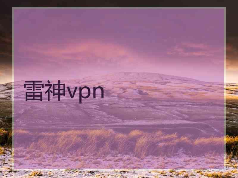 雷神vpn