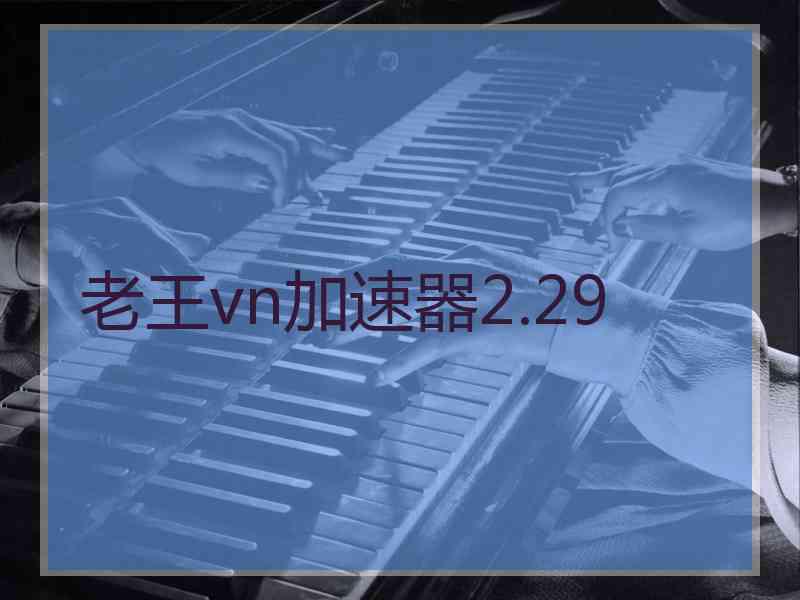 老王vn加速器2.29