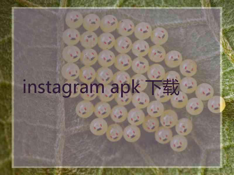 instagram apk 下载