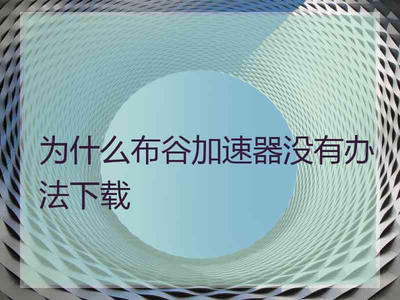 为什么布谷加速器没有办法下载