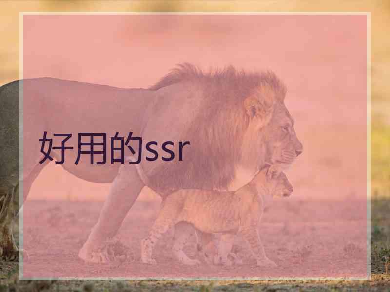 好用的ssr