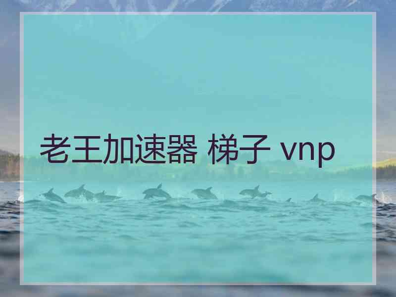 老王加速器 梯子 vnp