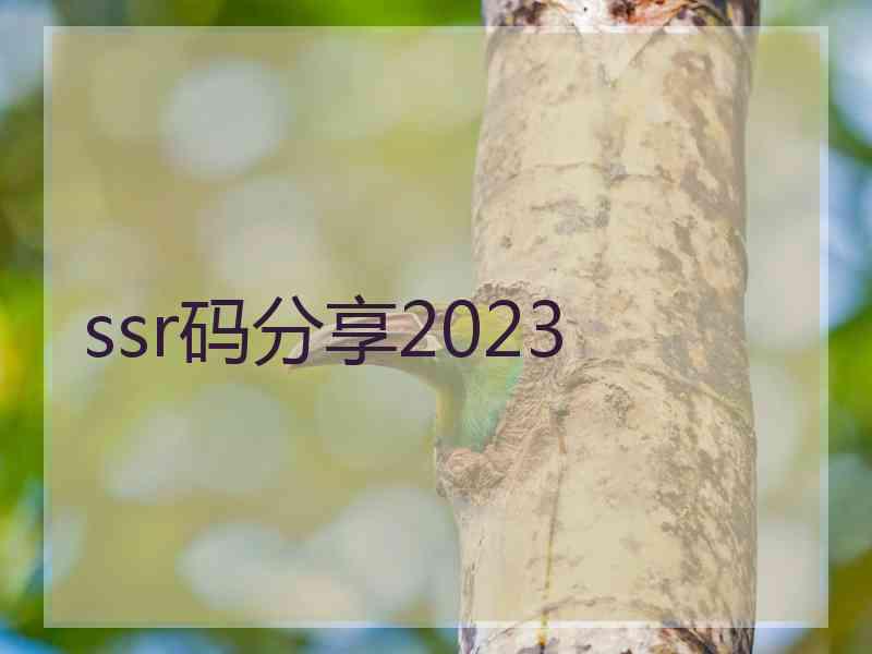 ssr码分享2023