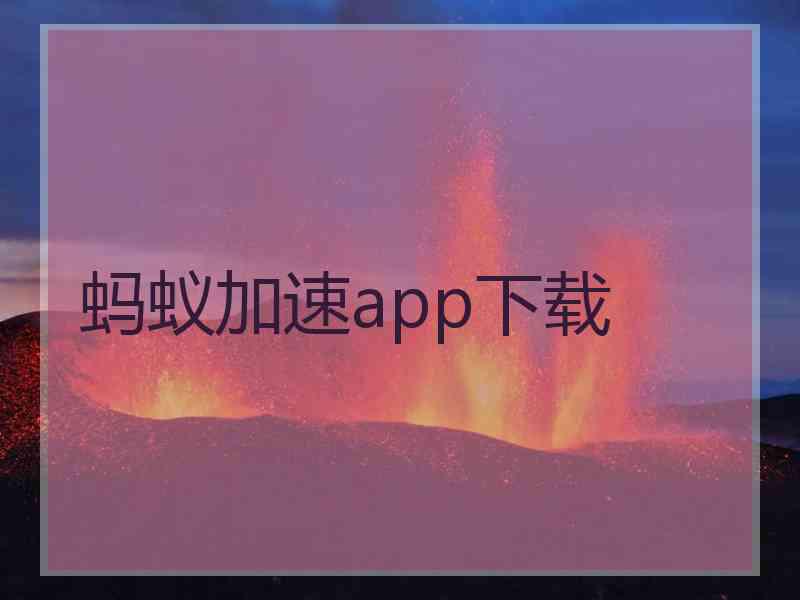 蚂蚁加速app下载