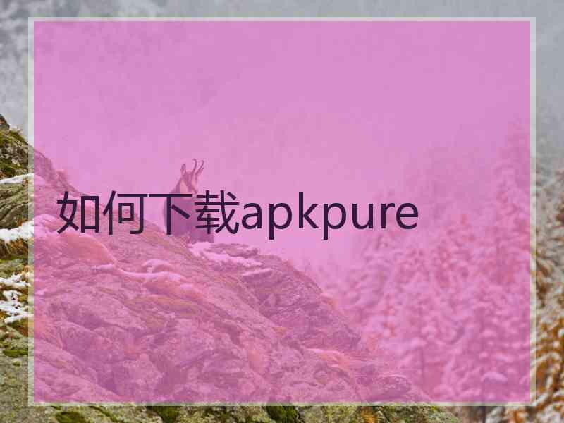 如何下载apkpure