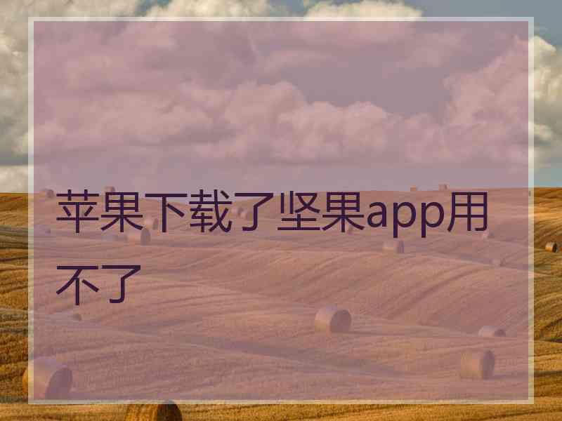 苹果下载了坚果app用不了