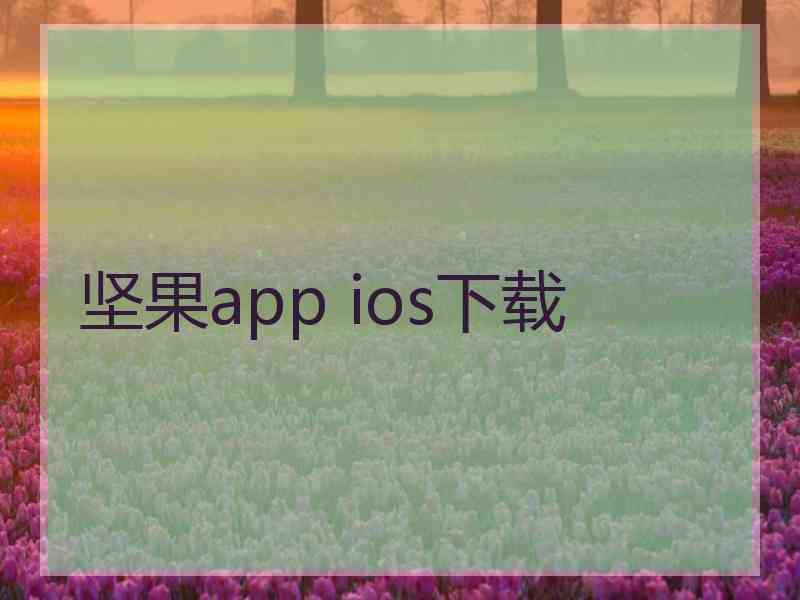 坚果app ios下载