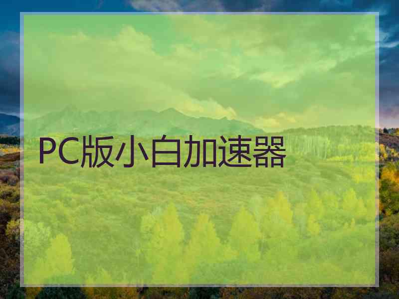 PC版小白加速器