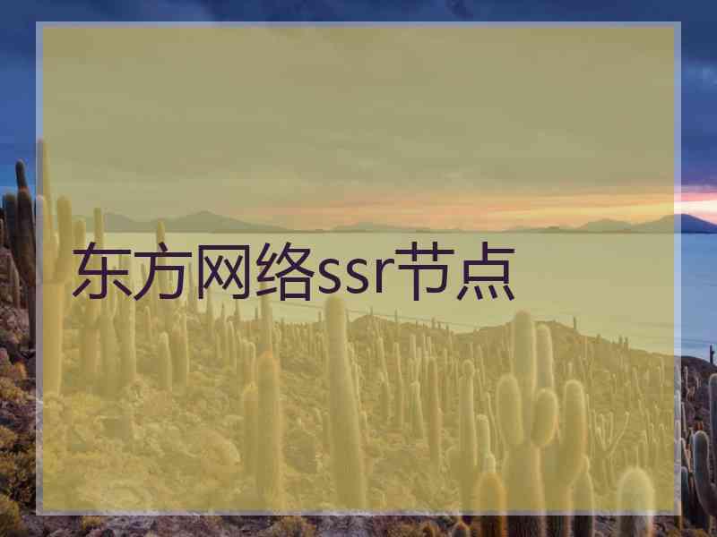 东方网络ssr节点